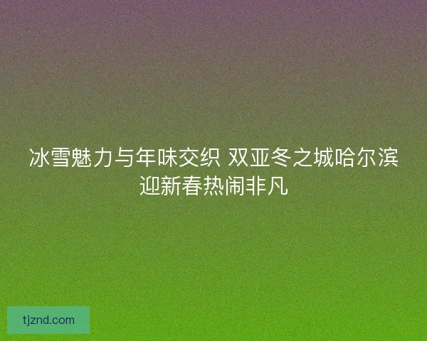 冰雪魅力与年味交织 双亚冬之城哈尔滨迎新春热闹非凡