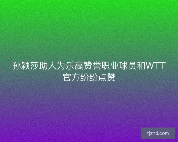 孙颖莎助人为乐赢赞誉职业球员和WTT官方纷纷点赞