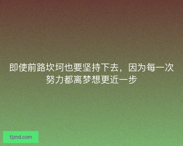 即使前路坎坷也要坚持下去，因为每一次努力都离梦想更近一步