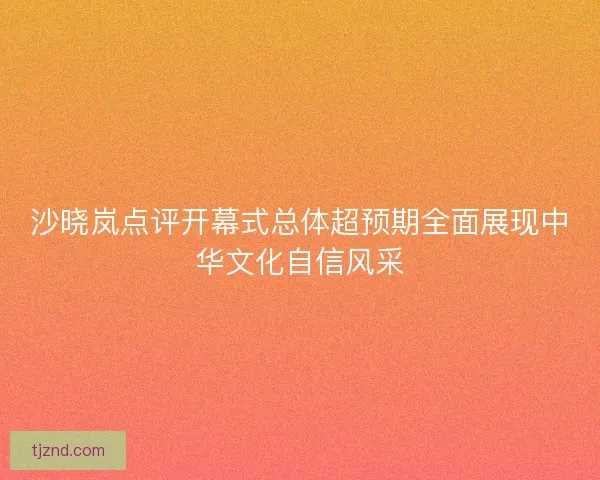 沙晓岚点评开幕式总体超预期全面展现中华文化自信风采