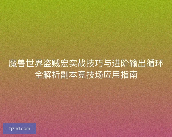 魔兽世界盗贼宏实战技巧与进阶输出循环全解析副本竞技场应用指南