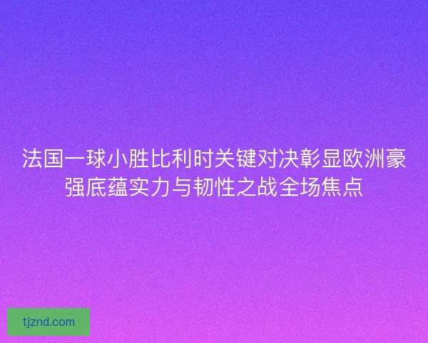 法国一球小胜比利时关键对决彰显欧洲豪强底蕴实力与韧性之战全场焦点