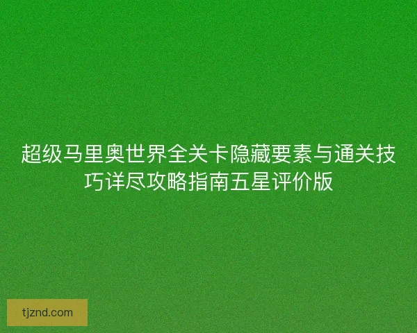 超级马里奥世界全关卡隐藏要素与通关技巧详尽攻略指南五星评价版