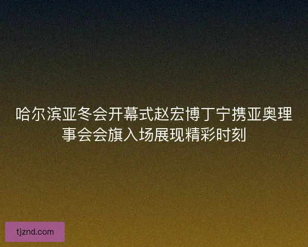 哈尔滨亚冬会开幕式赵宏博丁宁携亚奥理事会会旗入场展现精彩时刻